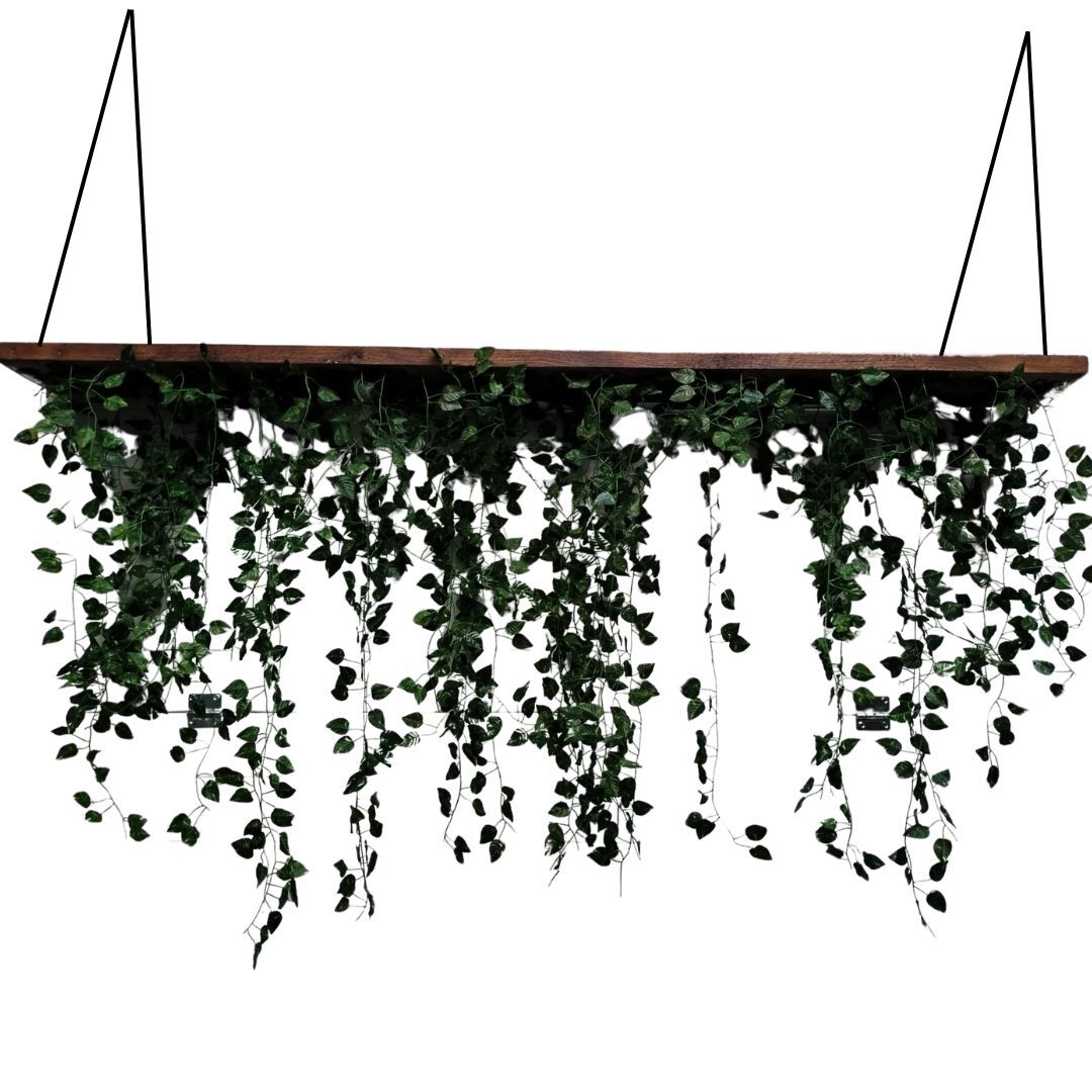 Wooden Plank Suspended with Artificial Vines.